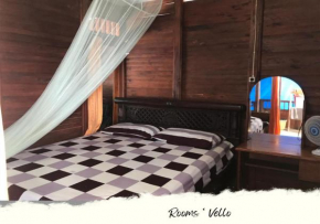 HEINER HOMESTAY